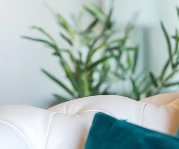 Apartament Aura Celestia *